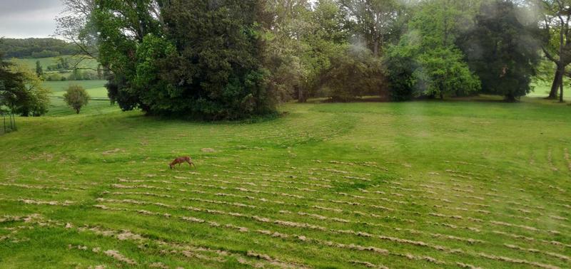 Maison de maîtres - 293 m² - 9 pièces