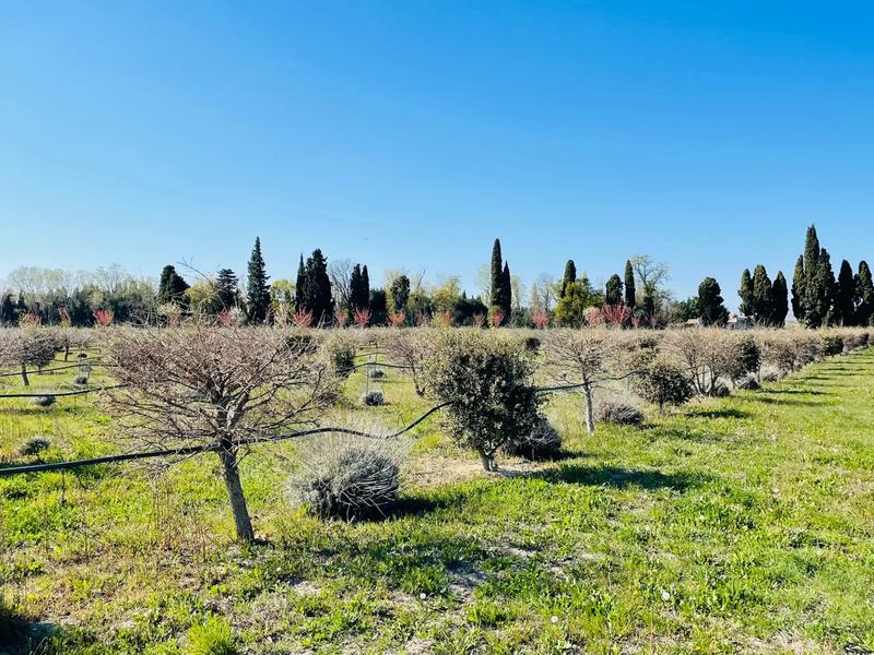 Propriété - 684 m² - 15 pièces