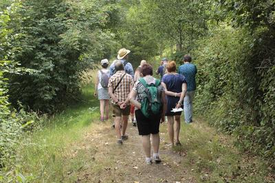 Randonnée pédestre &gt; la marche des rois mages