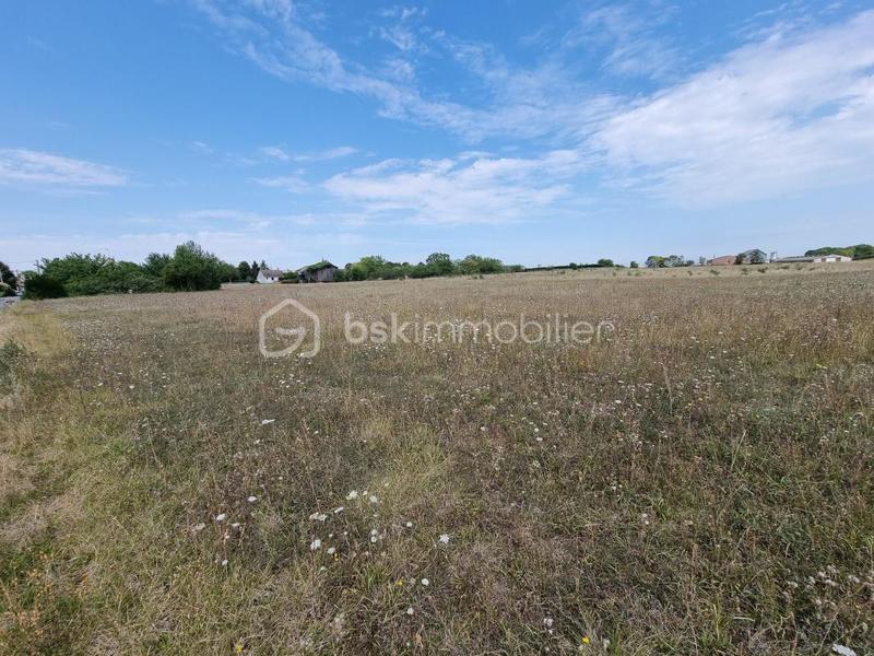 Terrain - 7 973 m²