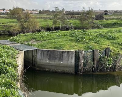 Terrain - 11 140 m²