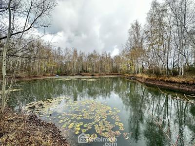 Terrain - 10 450 m²