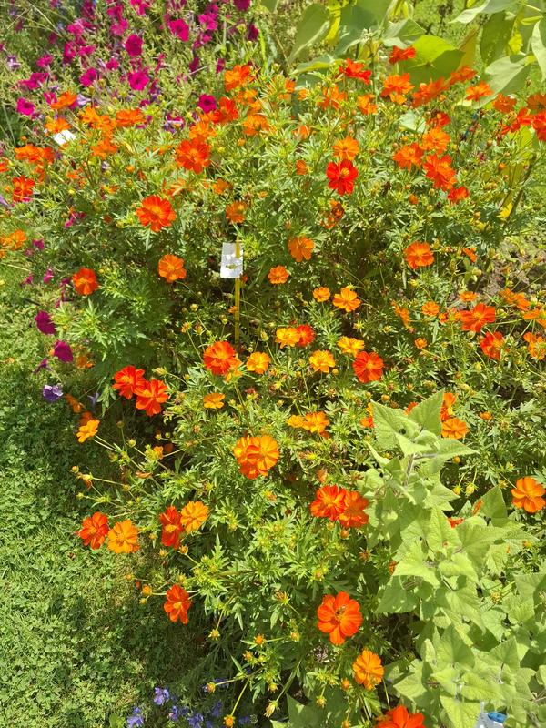 Promenade le Marais / Bastille, lieux insolites, passages cachés....