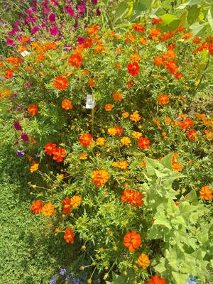 Promenade le Marais / Bastille, lieux insolites, passages cachés....