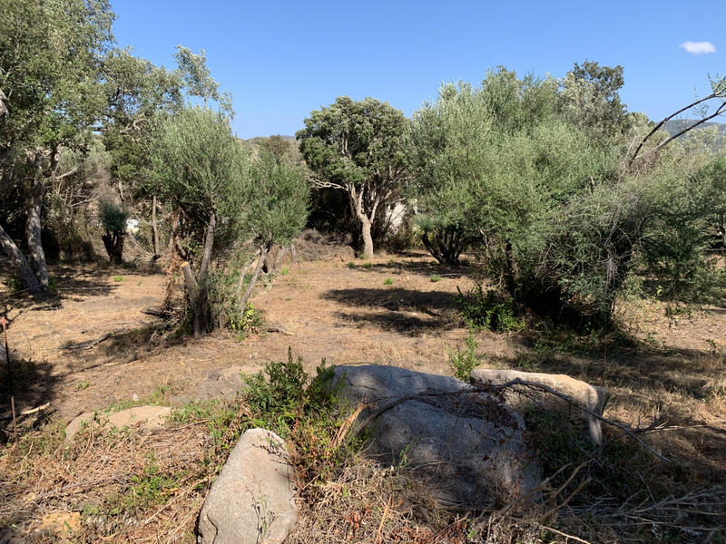 Villa - 85 m² - 4 pièces