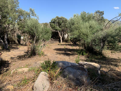 Villa - 85 m² - 4 pièces