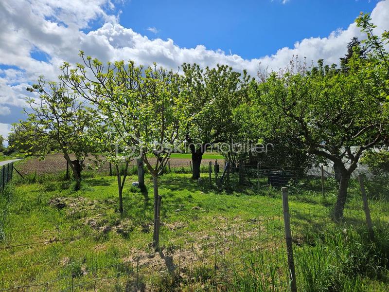 Maison ancienne - 150 m² - 5 pièces