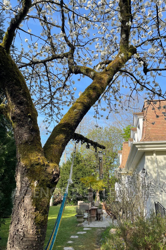 Maison - 275 m² - 15 pièces