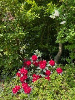 Manoir - 400 m² - 12 pièces