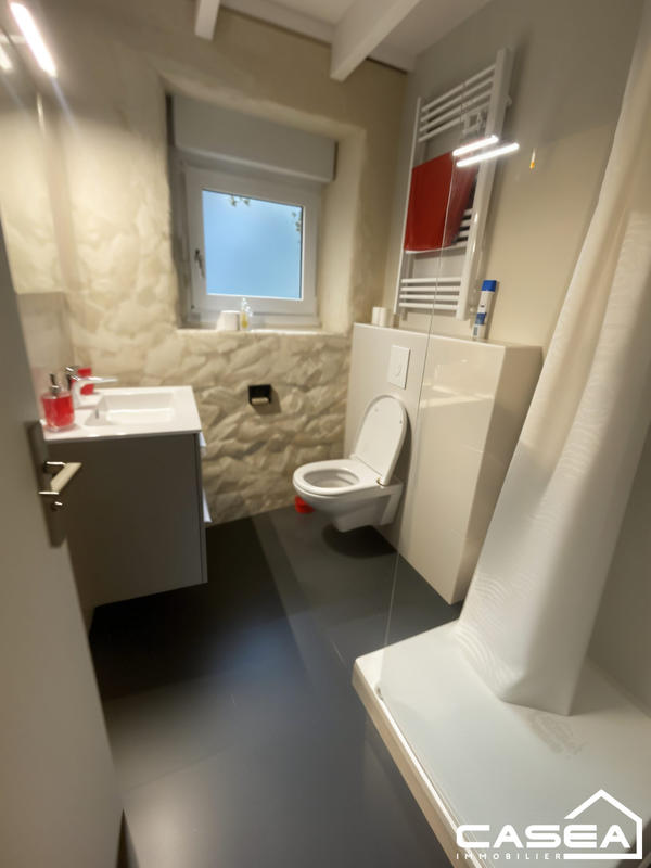 Maison ancienne - 300 m² - 15 pièces