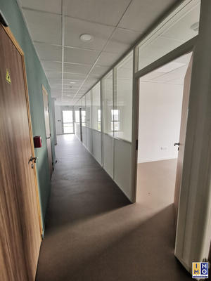 Bureau - 145 m²