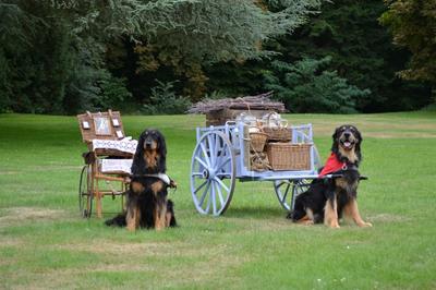 Concours d’attelages canins au Château de Villesavin