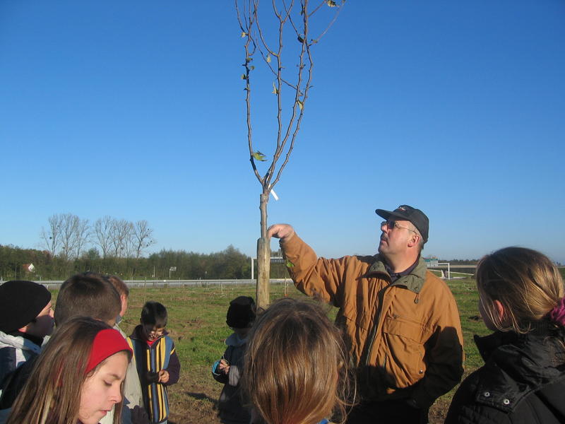 Cours de taille des arbres