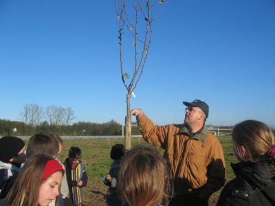 Cours de taille des arbres