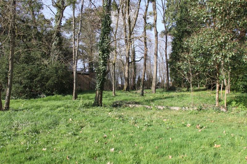Terrain constructible - 8 124 m²
