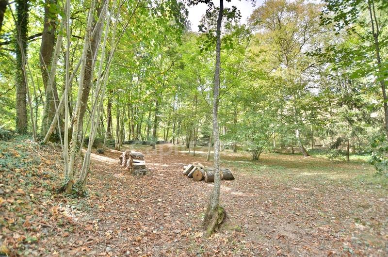 Maison en pierre - 545 m² - 21 pièces