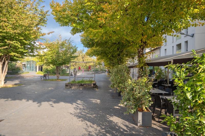 Appartement - 50 m² - 3 pièces