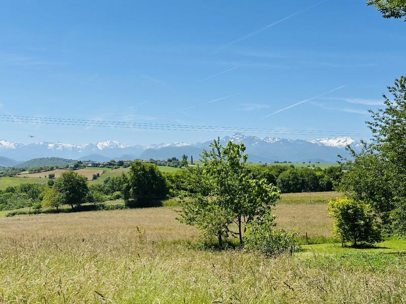 Propriété - 300 m² - 12 pièces