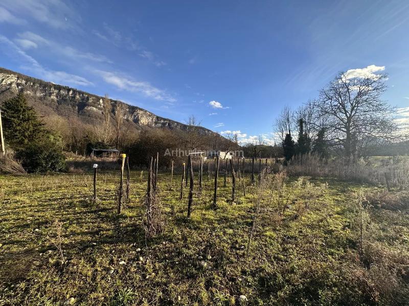 Terrain - 1 255 m²