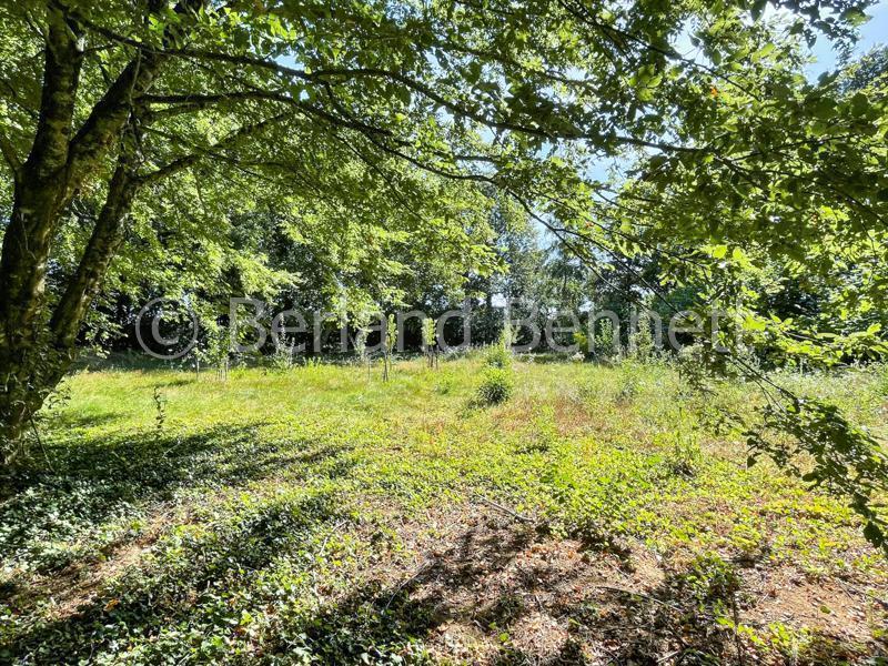 Maison en pierre - 211 m² - 8 pièces