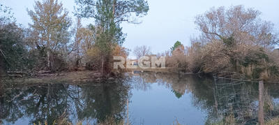 Terrain - 123 886 m²