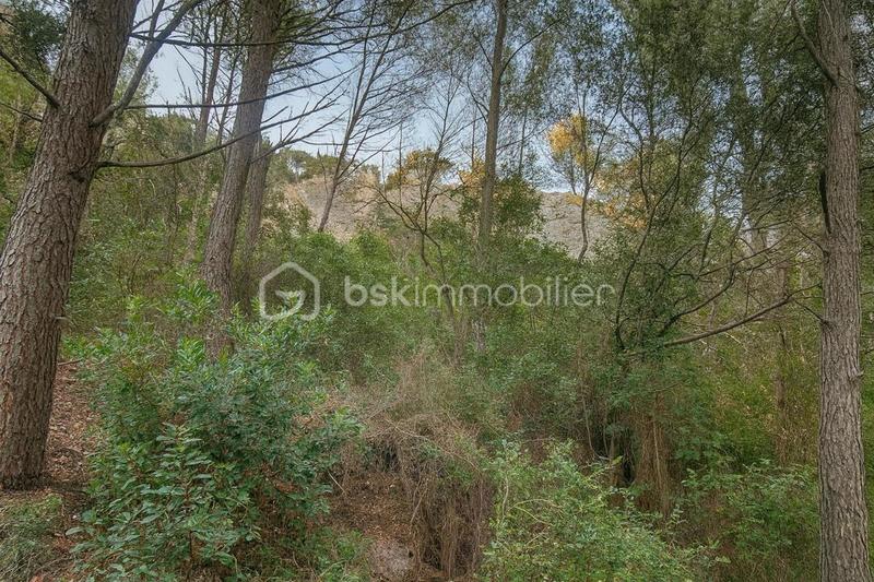 Terrain de loisirs - 5 600 m²