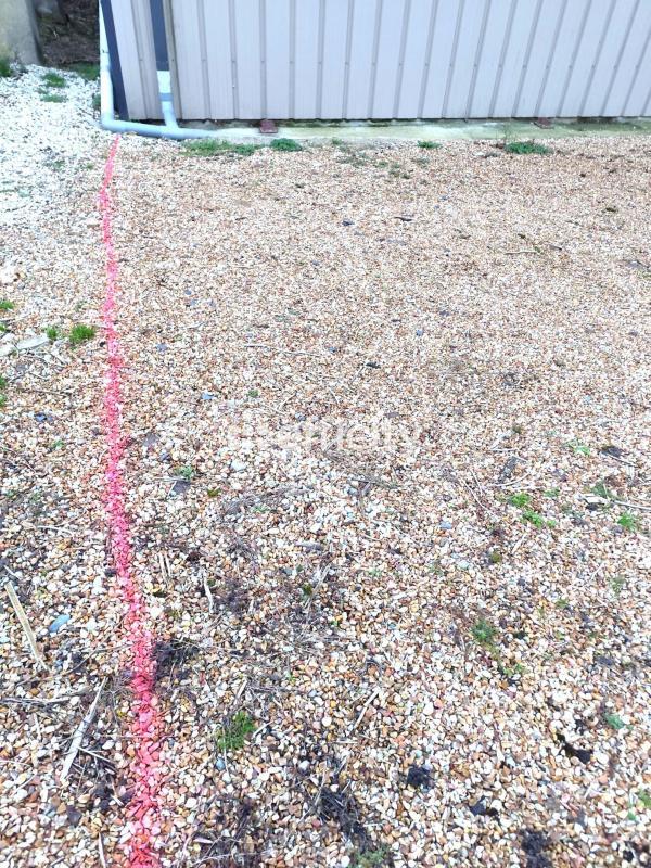 Bureau - 81 m² - 1 pièce