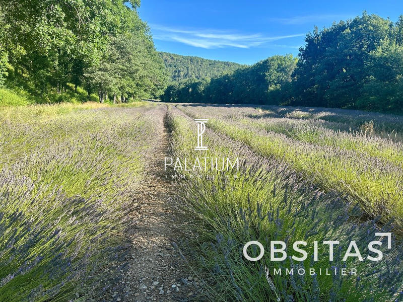 Maison ancienne - 103 m² - 4 pièces