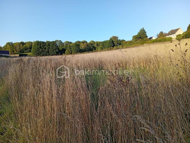 Terrain agricole - 10 469 m²