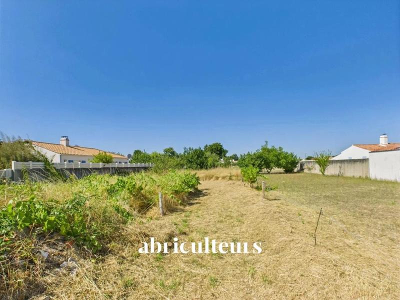 Maison ancienne - 186 m² - 6 pièces