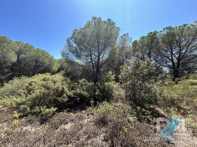 Terrain - 12 305 m²