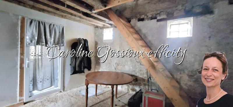 Maison de village - 53 m² - 3 pièces