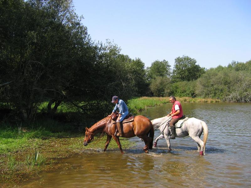 Equitation - Activités équestres - Balades - Defiplanet