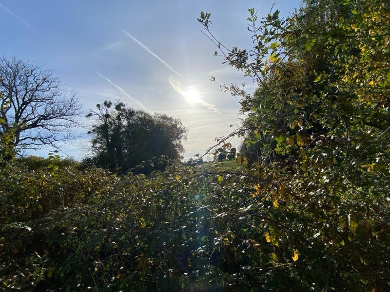 Maison - 50 m² - 1 pièce