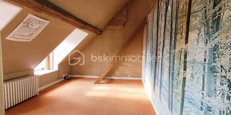 Hôtel particulier - 440 m² - 14 pièces