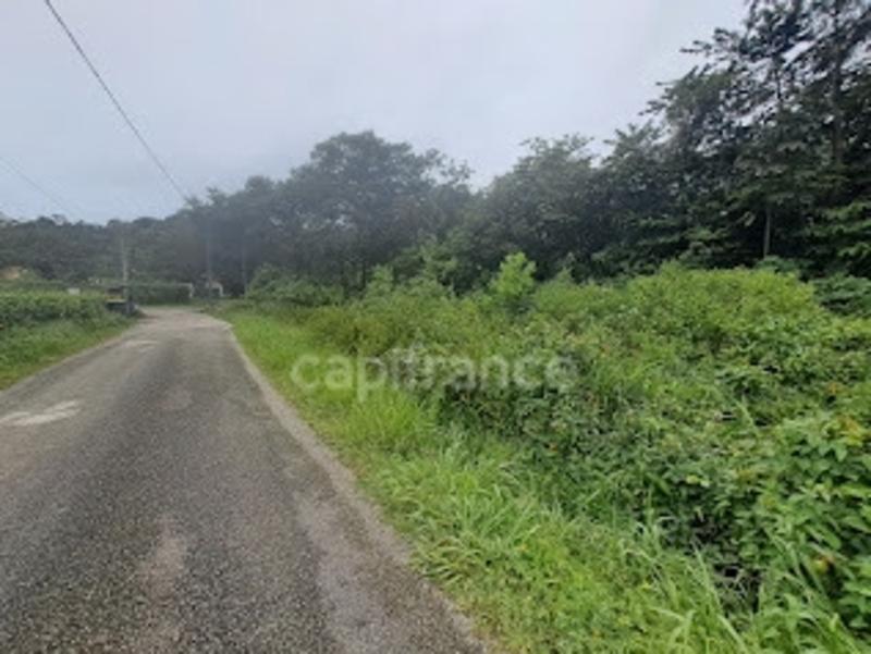 Terrain constructible - 3 444 m²