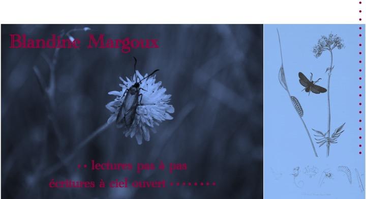 La vie en rose • Jeux poétiques &amp; Écriture créative