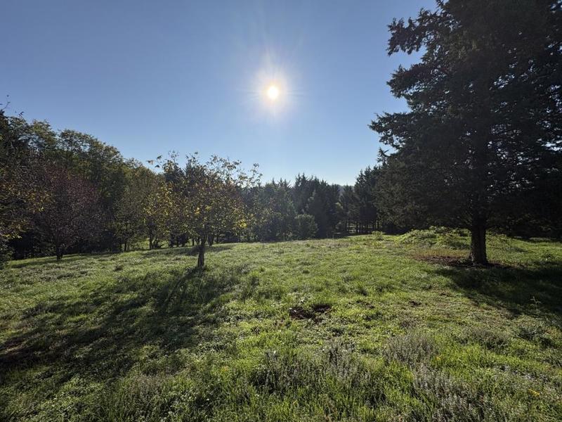 Maison - 234 m² - 10 pièces