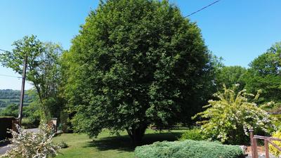 Maison traditionnelle - 80 m² - 4 pièces