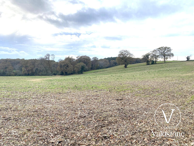 Terrain agricole - 11 460 m²