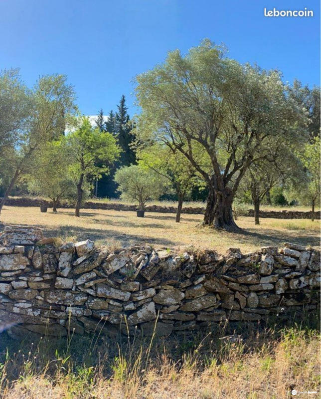 Terrain de loisirs - 6 500 m²