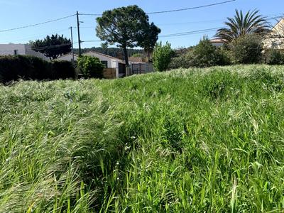 Terrain constructible - 685 m²