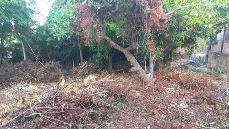 Maison - 200 m² - 7 pièces