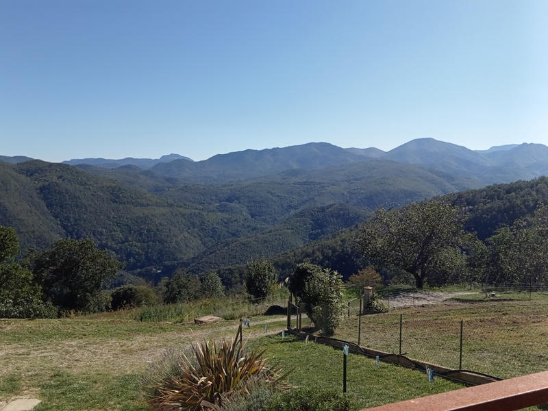 Mas - 230 m² - 14 pièces