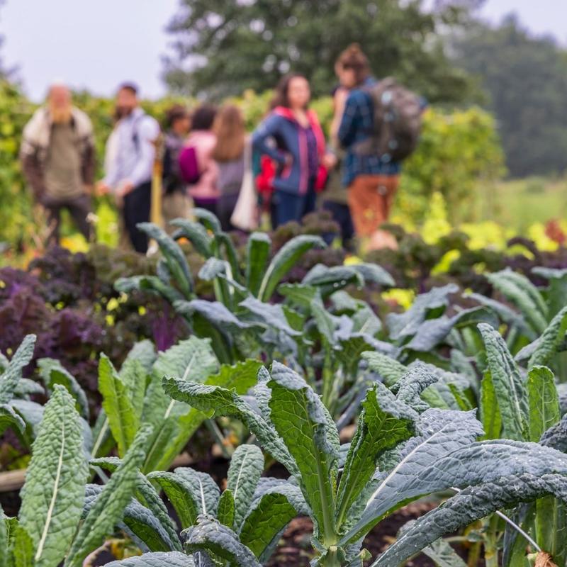 Le salon de l'agriculture s'invite à la médiathèque