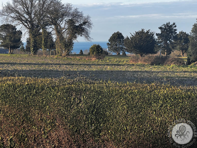 Maison - 116 m² - 5 pièces