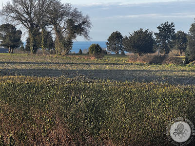 Maison - 116 m² - 5 pièces