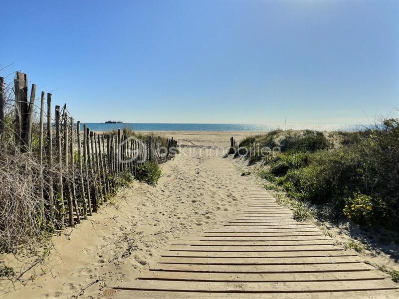 Studio - 20 m² - 1 pièce