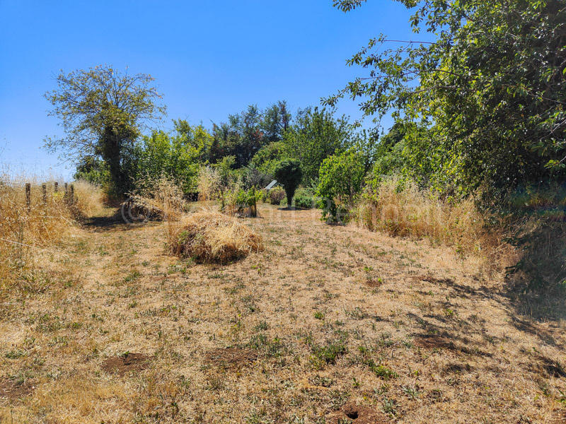 Maison en pierre - 95 m² - 3 pièces