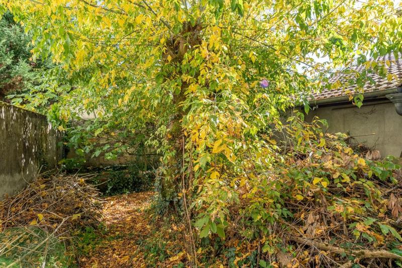 Maison de maîtres - 220 m² - 8 pièces